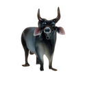 Boi Corote Guzerá 2 Litros