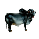 Boi Corote Indu Brasil 2 Litros