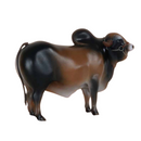 Boi Corote Gir Leiteiro 2 Litros