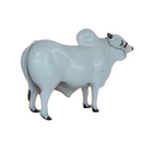 Boi Corote Nelore 2 Litros