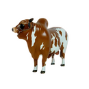 Boi Corote Nelore Pintado 2 Litros