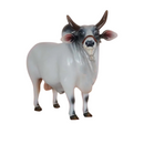 Boi Corote Nelore 2 Litros