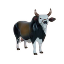 Boi Corote Boi Bandido 2 Litros